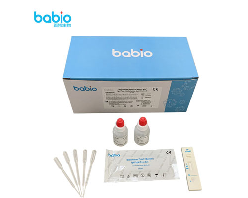 Helicobacter pylori (H. pylori) IgG/IgM-Testkit-Testverfahren