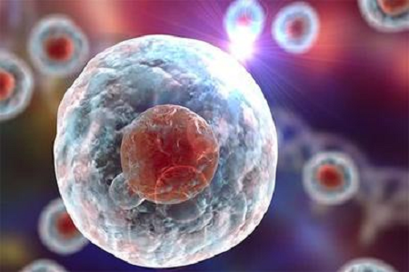 Babio startet hochwertige Giemsa-Färbung B-Lösung für fortschrittliche zytogenetische und hämatologische Diagnostik