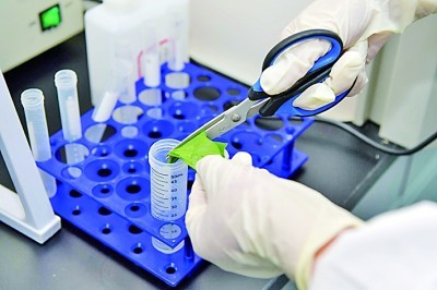 Zuverlässige bakterielle Identifizierung, die mit Babios Gram -Flecken -Kit einfach gemacht wurde