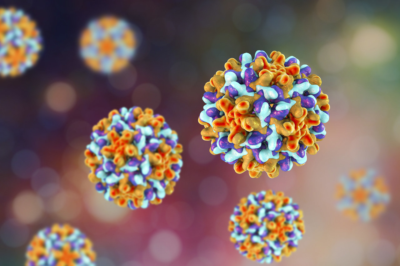 Babio startet Hochleistungs-Adenovirus-Antigen-Erkennungskit, um die globalen diagnostischen Anforderungen zu erfüllen