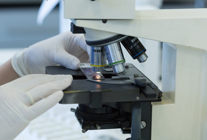 Fettanalyse beschleunigen mit Babios JC-SXT-6A Automatisiertes Soxhlet Extraction System August 2025 | Babio Newsroom