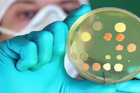 Babio startet hochwertige brillante grüne Laktose-Gallenbrühe für Lebensmittel- und Wassertests