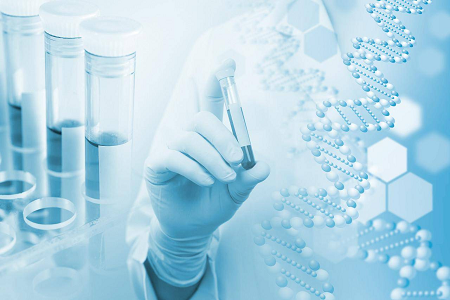 Agar-Medium B (Kasein-Sojabohnen-Digest-Agar) – eine zuverlässige Wahl für die mikrobielle Kultur