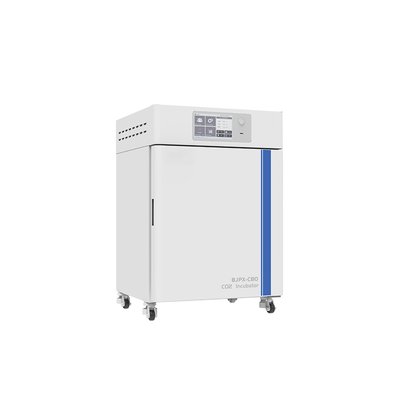 CO2-Inkubator BJPX-C50 BJPX-C80 BJPX-C160 BJPX-C80S BJPX-C160S