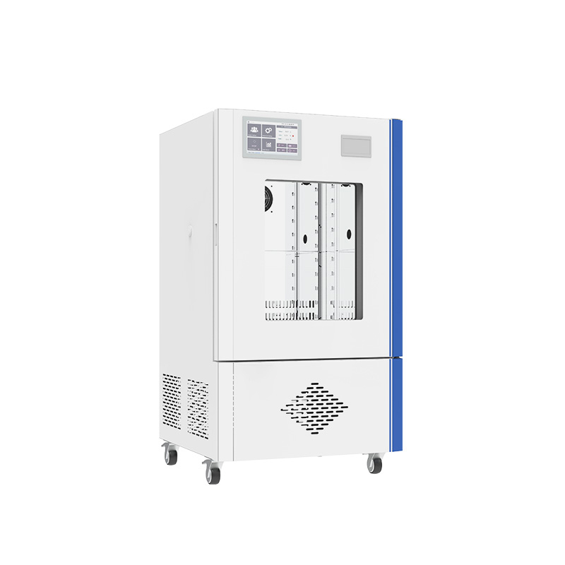 Inkubator mit konstanter Temperatur und Luftfeuchtigkeit (BJPX-HTB)